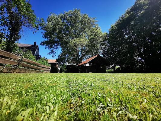 Evergreen - Haus und Gartenservice