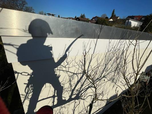 Baumpflege Rosenbauer