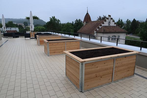 hortico - Design & Garten