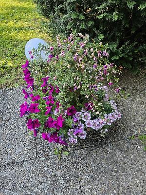 Becker Garten und Forst