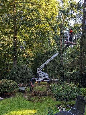 Baumpflege und Landschaftsbau Jens Lauktien