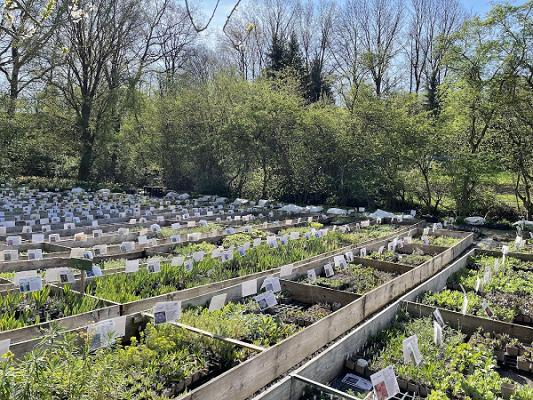 Gärtnerei Gartenreich Oberrieden