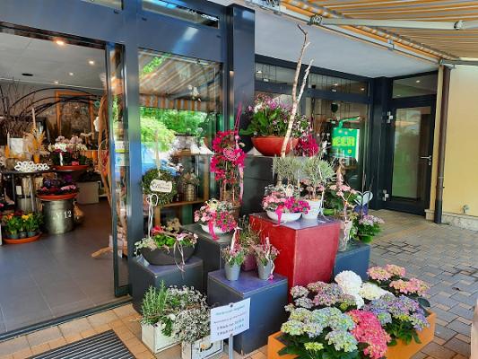 Blumen Meer Gärtnerei & Floristik
