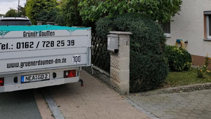 Grüner DauMen