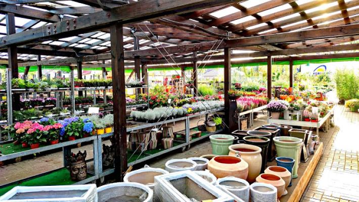 B&M Pflanzenparadies GmbH