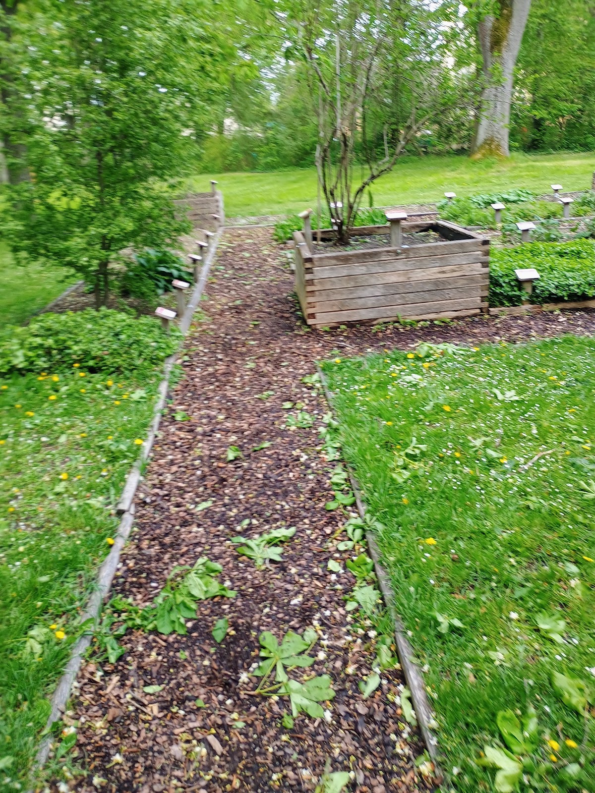 682e7a5605459