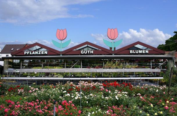 Güth Gärtnerei Floristik - Blumen und Pflanzen