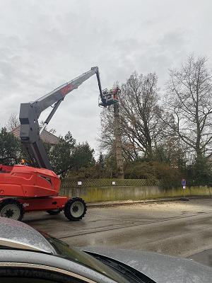 Weigand Landschaftspflege & Forstservice