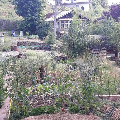 Hortus Felix