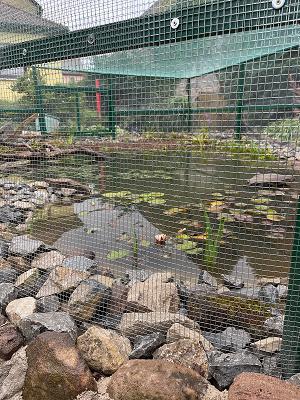 Stefan Balbach Plantdesign