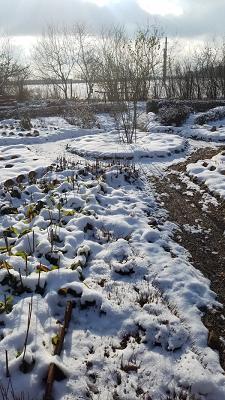Schau- und Lehrgarten des OGV Petersaurach