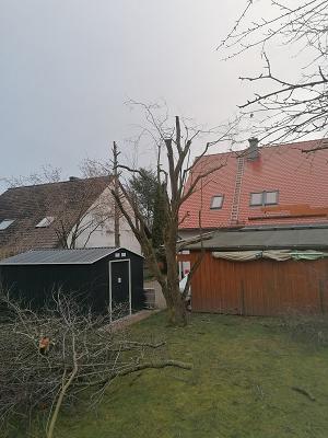 Baum & Gartenpflege Hacker