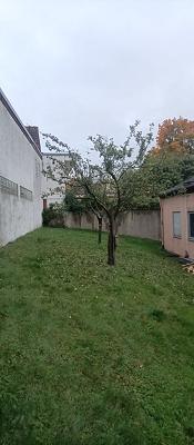 Wiesinger Dienstleistungen