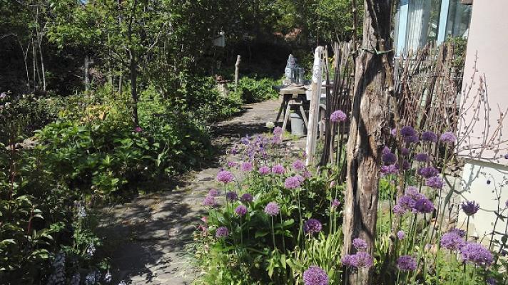 Hortus