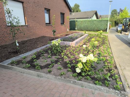 Skibinski Group GmbH