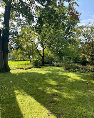 M&M Dienstleistungen – Hausmeisterservice in Gunzenhausen | Garten- und Landschaftspflege