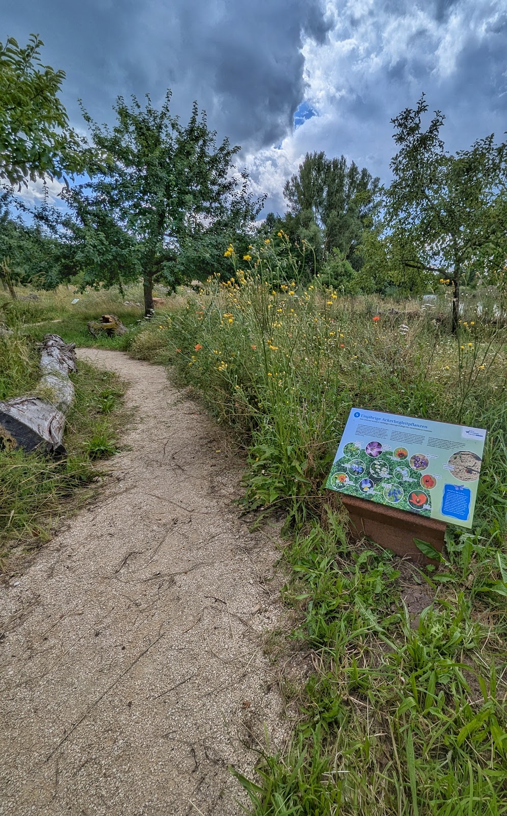 682e7c6537628