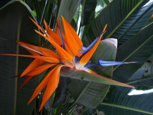 Gartengestaltung Pascal Halbleib