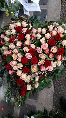 682e7d437e817