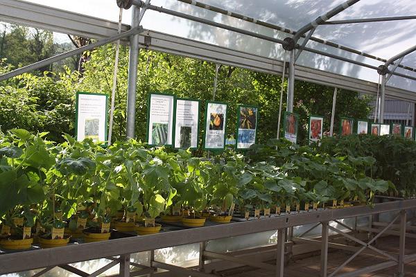 Baumschule Augenweide Obst- & Gartencenter