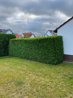Gartenpflege Howey
