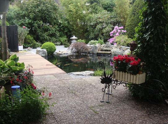 Japanischer Garten und Koi - Teichbau von Peter Roth