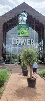 Löwer Grün Erleben