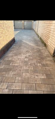 Asani Garten und Landschaftsbau