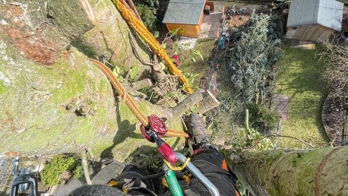 Tree-Worx Baumpflege Baumfällungen Baumtechnik Raum Aschaffenburg und Umgebung