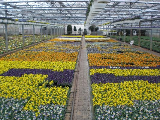 Bernd Seubert Blumengeschäft