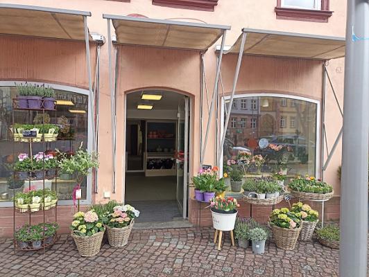 Evas Green Blumen und Mehr