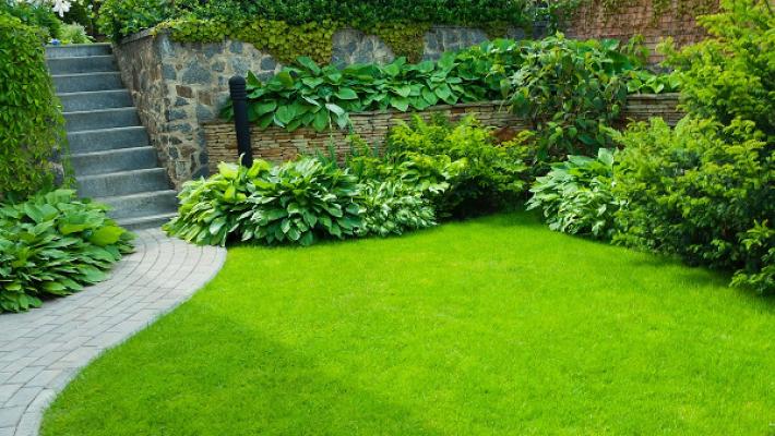 GARTENBAU & PFLEGE Würzburg