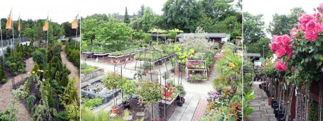 GartenBaumschule Inh. Arthur Ringelmann