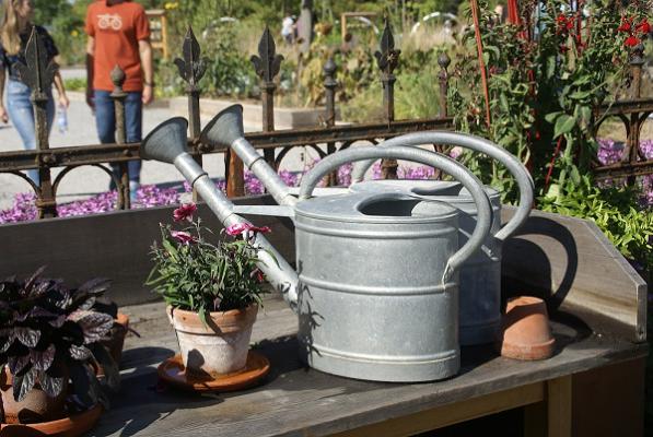 Ausbildungsgärtnerei