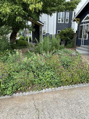 PDX Urban Gardens