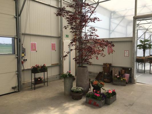 Böck GmbH Friedhofsgärtnerei, Garten- & Poolbau