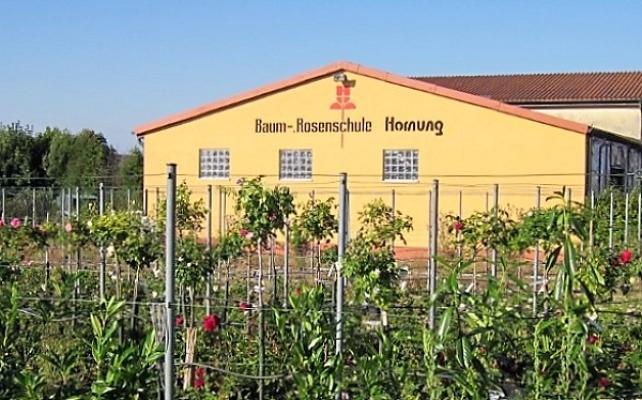 Gartengestaltung Hornung
