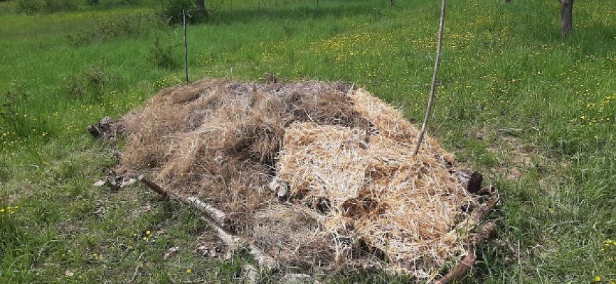 Christian`s Permakultur Oase