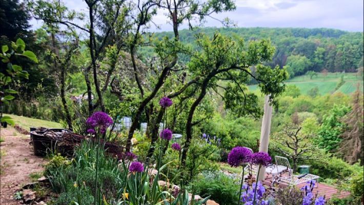 Schneiders Gartenparadies