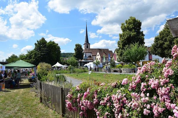 NaturSchauGarten Main-Spessart