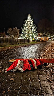 Garten- Wein- und Weihnachtsort Himmelstadt