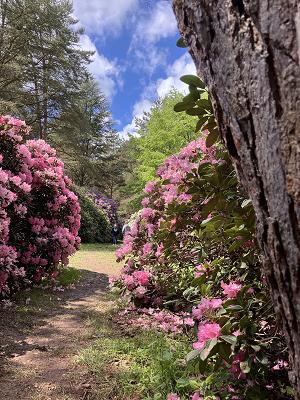 Achim Jansen Garten- und Landschaftsbau