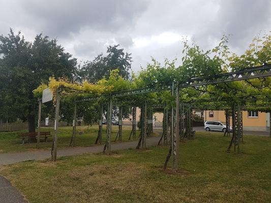 Ökologischer Weinlehrpfad