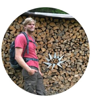 Baumfällung Würzburg