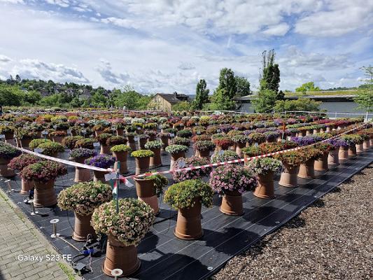 Bayerische Landesanstalt für Weinbau und Gartenbau (LWG), Obstbauversuchsbetrieb Thüngersheim