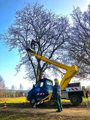 Florian Hofmann GmbH