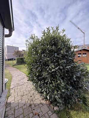 682e81525f36d