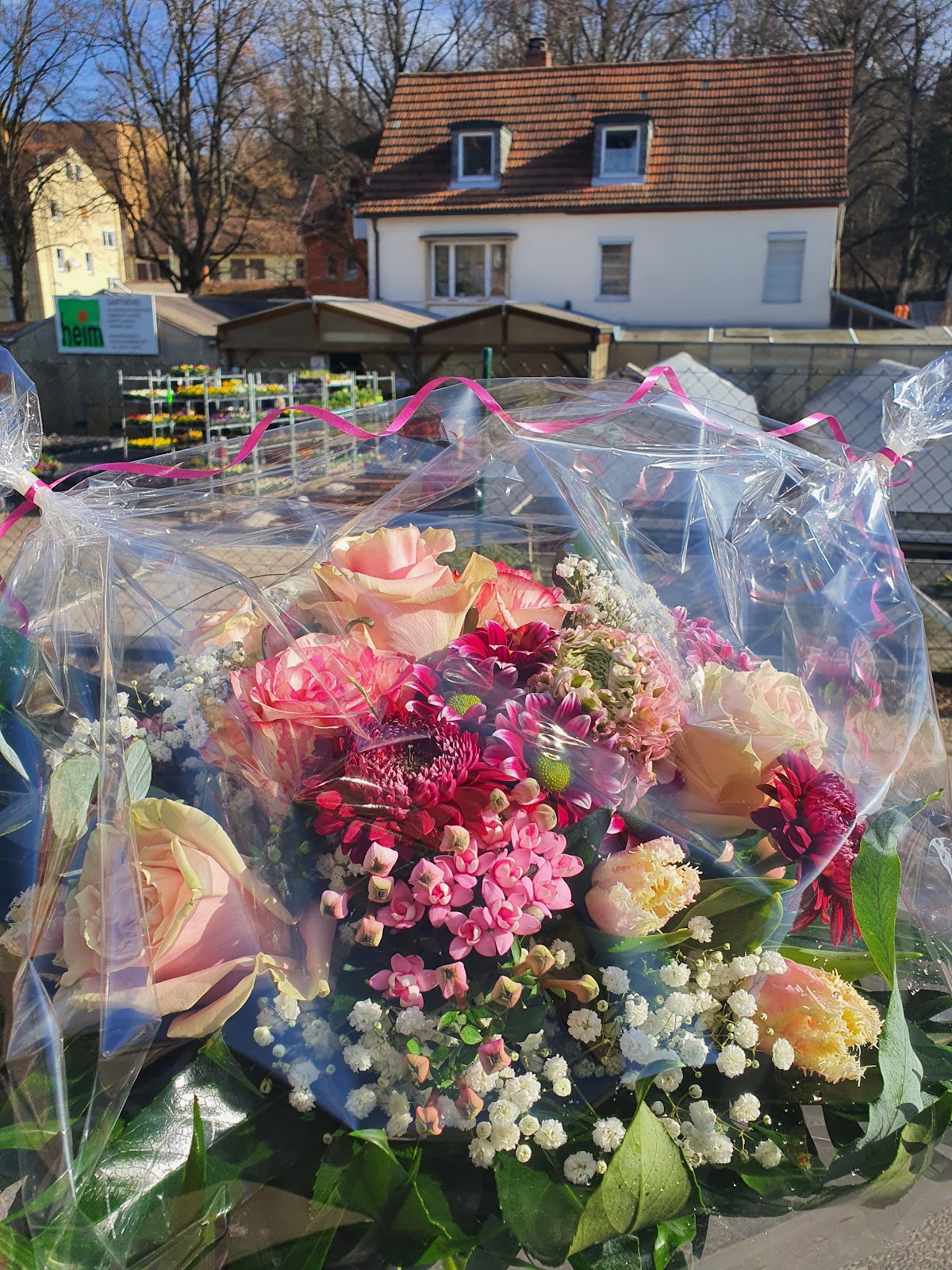 682e81964dfe2