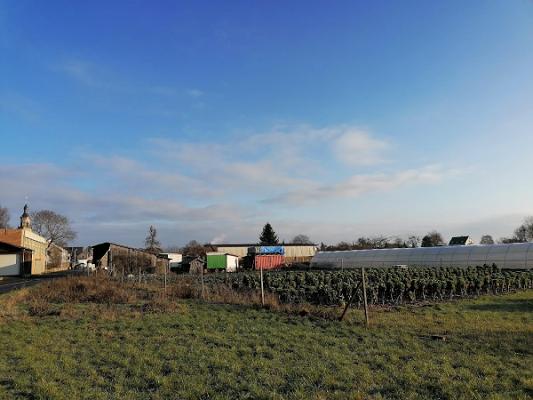 SoLaWi Schweinfurt (Solidarische Landwirtschaft Schweinfurt und Umgebung)
