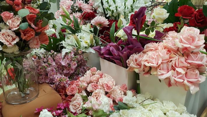 Bernhard Wolf Gärtnerei